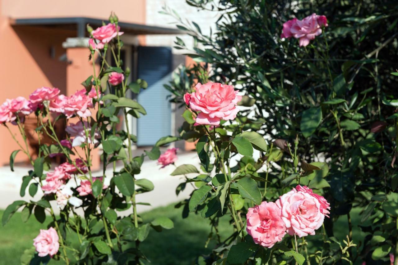 Girasole Villa Limni  Exterior photo